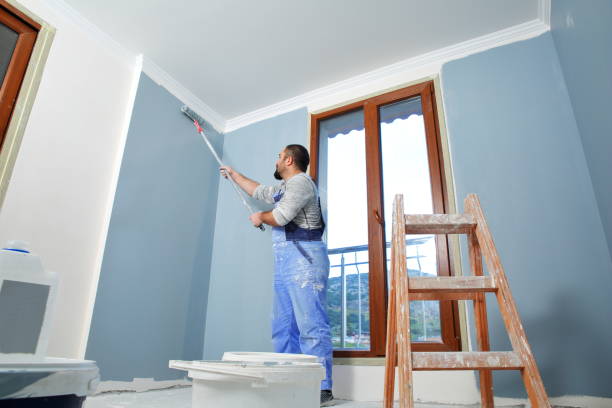 Best Wallpaper Removal and Painting  in USA